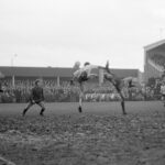 1520419658-1520350994-DSC_0003