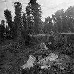 1520427059-1520243689-DE14012 Hop Picking 20 09 1967