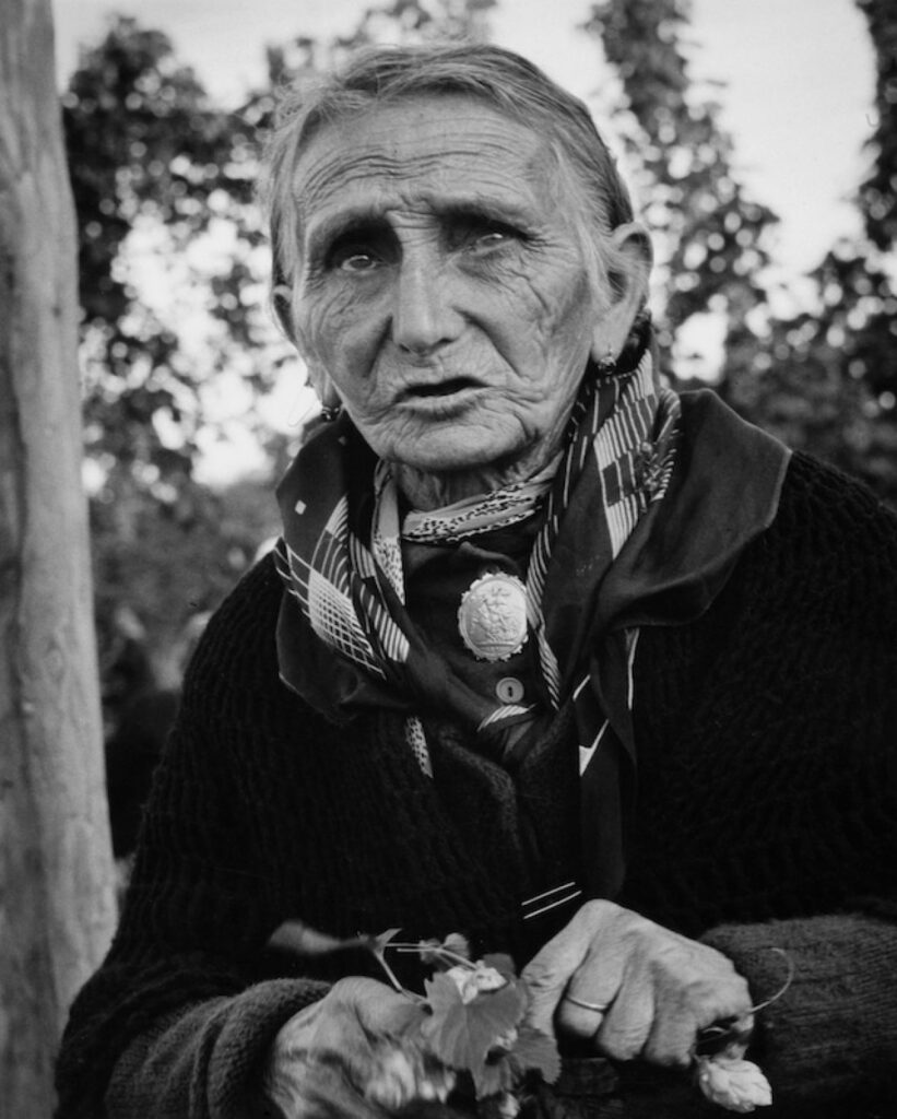 1520508656-Picker at Claston Farm Dormintgton