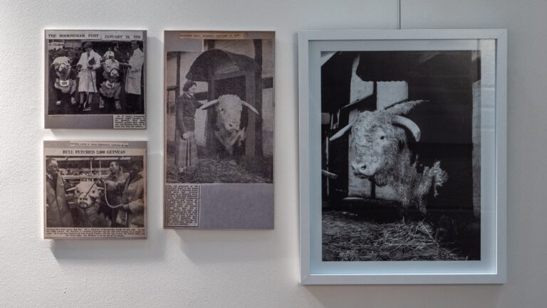 1585274808-HARC Exhibition 2