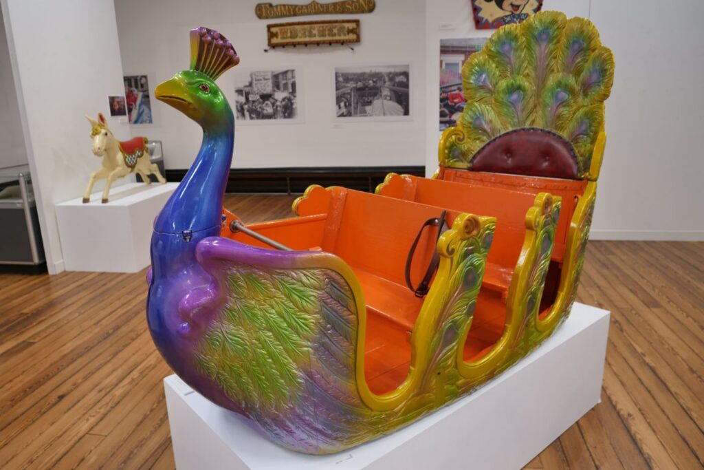 1619628710-Peacock Ride