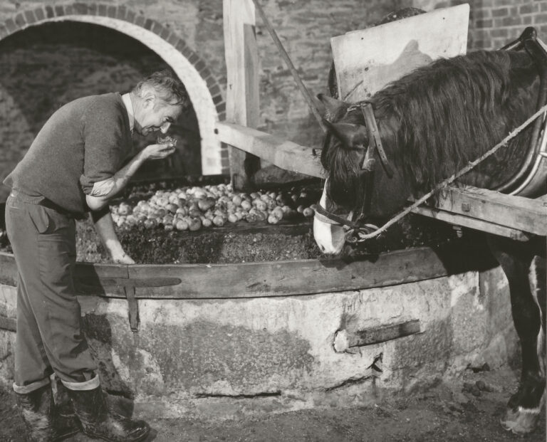 1694091640-Photo_2023-08-16_123912